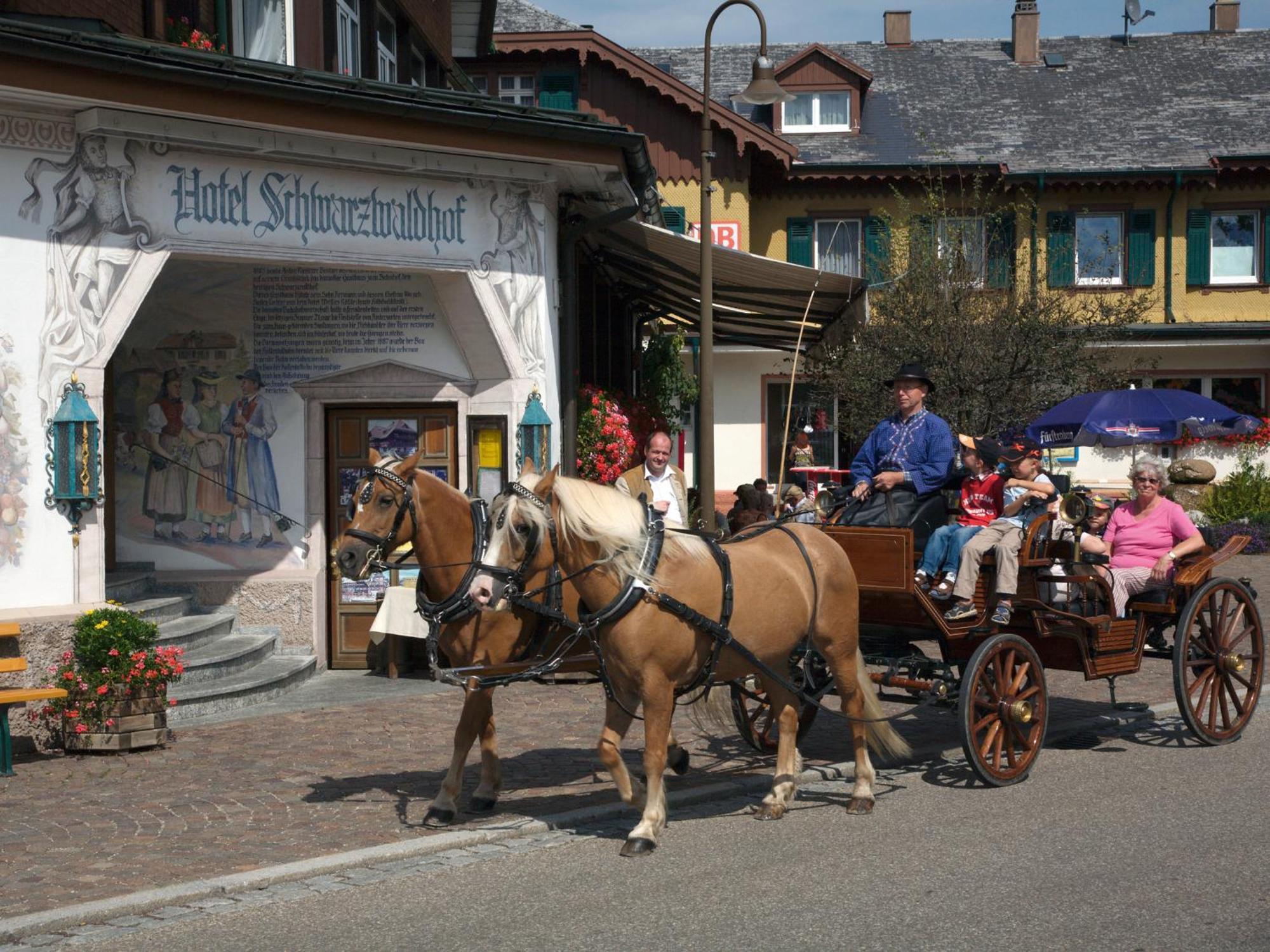 Hotel Schwarzwaldhof Hinterzarten Exteriér fotografie